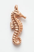 Hippocampe Doré