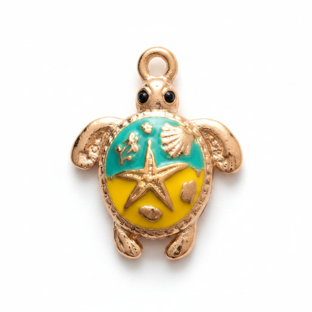 Tortue Colorée